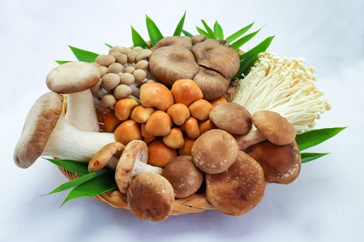 Should mushrooms be washed before cooking? The Agriculture and Food Agency has the answer (Photo credit: photoAC).